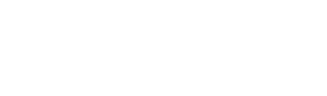 Smart Flex Agency